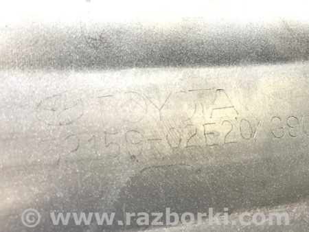 ФОТО Бампер задний для Toyota Corolla E210 (11.2018-...) Киев
