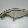 ФОТО Указатель поворота для Toyota Corolla E100 (06.1991-06.1997) Киев