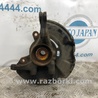ФОТО Кулак поворотный для Hyundai Elantra HD (04.2006-03.2012) Киев
