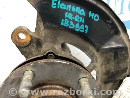 ФОТО Кулак поворотный для Hyundai Elantra HD (04.2006-03.2012) Киев