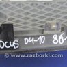 ФОТО Решетка радиатора для Ford Focus 2 (08.2004 - 07.2010) Киев