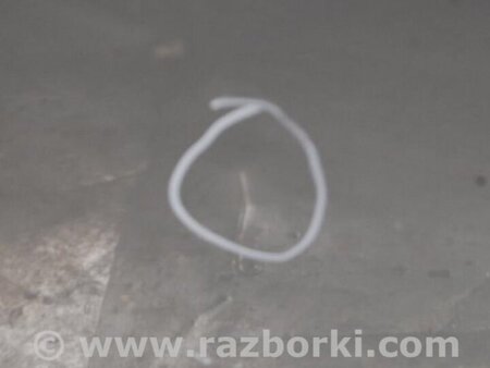 ФОТО Дверь для Infiniti  G25/G35/G37/Q40 Киев