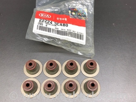 ФОТО Запчасти двигателя для Hyundai Grandeur HG (11-16) Киев