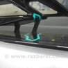 ФОТО Решетка радиатора для Toyota Highlander (2019-) Киев