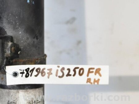 ФОТО Амортизатор для Lexus IS250/350 (06-12) Киев