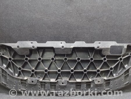 ФОТО Защита переднего бампера для Nissan LEAF (10-17) Киев