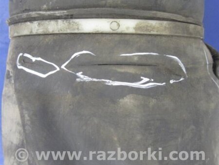 ФОТО Амортизатор для Lexus LS430 (00-06) Киев