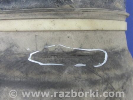 ФОТО Амортизатор для Lexus LS430 (00-06) Киев