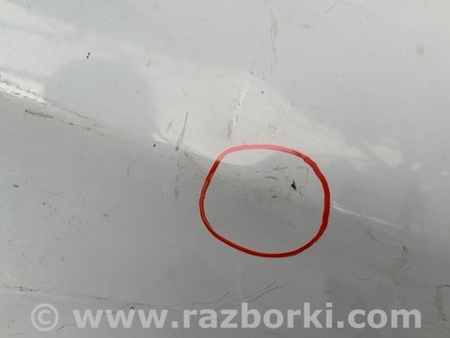 ФОТО Крыло переднее для Toyota Prius 30 (09-17) Киев