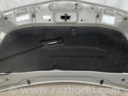 ФОТО Капот для Toyota Prius 30 (09-17) Киев