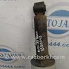 ФОТО Амортизатор для Audi (Ауди) Q7 4L (09.2005-11.2015) Киев
