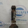 ФОТО Амортизатор для Audi (Ауди) Q7 4L (09.2005-11.2015) Киев