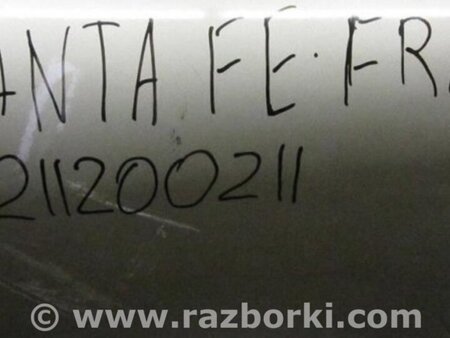 ФОТО Дверь для Hyundai Santa Fe CM (05-12) Киев