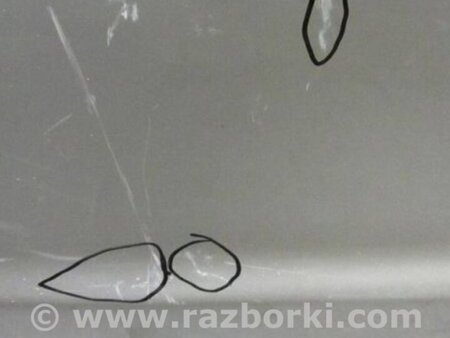 ФОТО Дверь для Hyundai Santa Fe CM (05-12) Киев