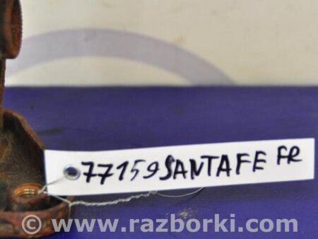 ФОТО Подушка для Hyundai Santa Fe CM (05-12) Киев