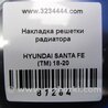 ФОТО Накладка решетки радиатора для Hyundai Santa Fe TM Киев