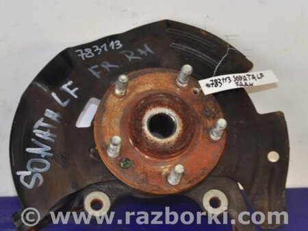 ФОТО Кулак поворотный для Hyundai Sonata LF (04.2014-...) Киев