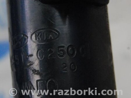 ФОТО Амортизатор для Hyundai Sonata LF (04.2014-...) Киев