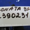 ФОТО Подушка двигателя нижняя для Hyundai Sonata YF (09.2009-03.2014) Киев
