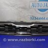 Решетка радиатора KIA Soul AM