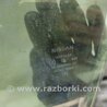 ФОТО Стекло двери для Nissan Teana J31 Киев