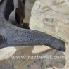 ФОТО Кулак поворотный для Hyundai Tucson TL (15-20) Киев