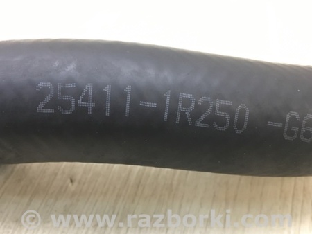 ФОТО Патрубок системы охлаждения для Hyundai ACCENT RB Киев
