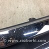 ФОТО Решетка радиатора для Honda Accord Coupe (07-12) Киев