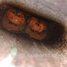 ФОТО Двигатель бензиновый для Honda Accord CR CT (06.2013 - 01.2020) Киев