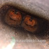 ФОТО Двигатель бензиновый для Honda Accord CR CT (06.2013 - 01.2020) Киев