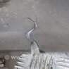 ФОТО Бампер передний для Toyota Camry 30 XV30 (09.2001-03.2006) Киев