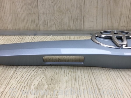 ФОТО Подсветка номера для Toyota Camry 40 XV40 (01.2006-07.2011) Киев
