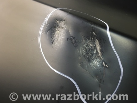 ФОТО Крыло переднее для Toyota Camry 50 XV55 (04.2014-07.2018)  Киев