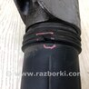 ФОТО Амортизатор для Toyota Camry 70 XV70 (01.2017-...)  Киев
