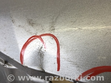 ФОТО Бампер передний для Honda Civic 10 FK,FC (01.2017 - ...) Киев
