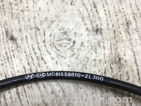 ФОТО Датчик ABS для Hyundai Elantra HD (04.2006-03.2012) Киев