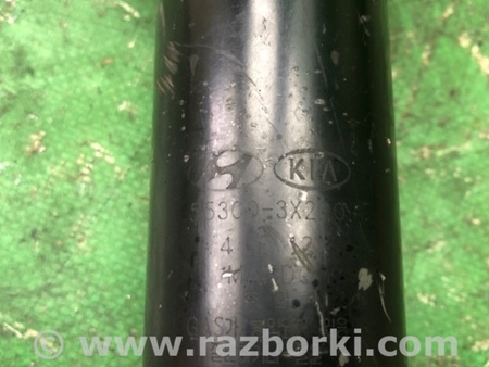 ФОТО Амортизатор для Hyundai Elantra MD (04.2010-05.2016) Киев