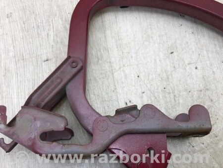 ФОТО Петля крышки багажника для Lexus ES350 (06-12) Киев