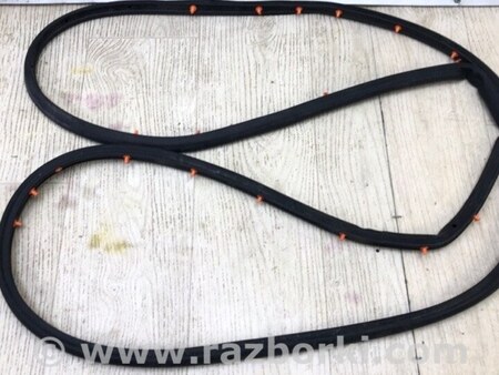 ФОТО Уплотнитель двери для Ford Escape 3 (01.2012-12.2018) Киев