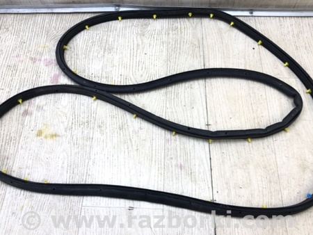 ФОТО Уплотнитель двери для Ford Escape 3 (01.2012-12.2018) Киев