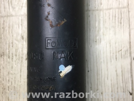 ФОТО Амортизатор для Ford Focus 3 (01.2010 - 03.2018) Киев