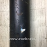 ФОТО Амортизатор для Ford Focus 3 (01.2010 - 03.2018) Киев