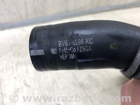 ФОТО Патрубок системы охлаждения для Ford Focus 3 (01.2010 - 03.2018) Киев