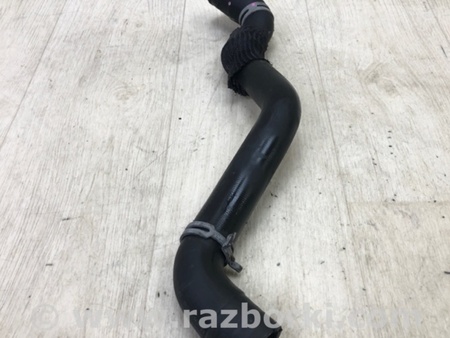 ФОТО Патрубок системы охлаждения для Ford Focus 3 (01.2010 - 03.2018) Киев