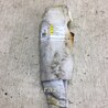 ФОТО Airbag сидения для Ford Focus 3 (01.2010 - 03.2018) Киев