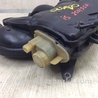ФОТО Впускной коллектор для Lexus IS250/350 (06-12) Киев