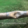 ФОТО Трубка кондиционера для Volkswagen Jetta USA (10-17) Киев