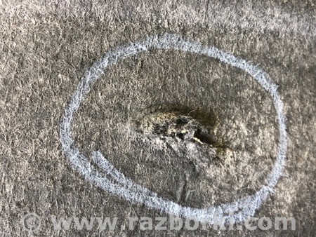 ФОТО Подкрылок для Volkswagen Passat CC (03.2008-01.2012) Киев