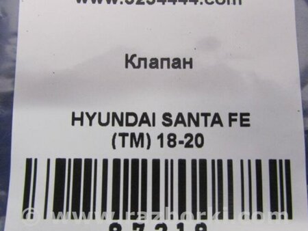 ФОТО Клапан кондиционера для Hyundai Santa Fe TM Киев