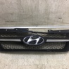 ФОТО Решетка радиатора для Hyundai Sonata NF (09.2004-10.2010) Киев
